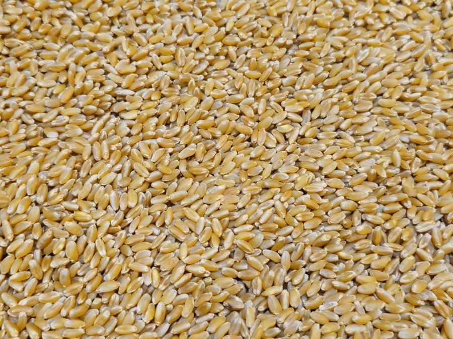 Grains & Cereals