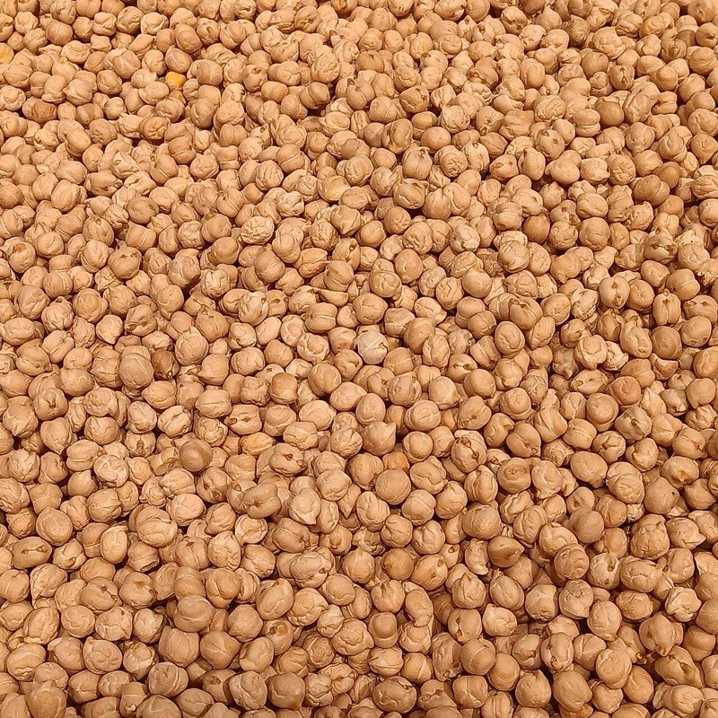 Pulses