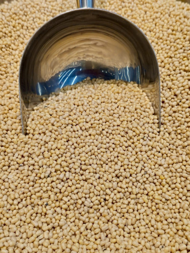 Processed & Split Pulses